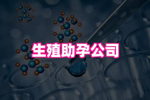 北京助孕网 2