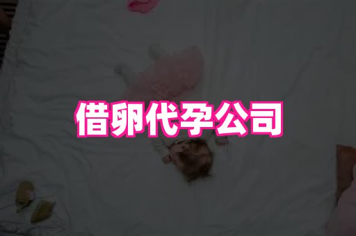 北京助孕网 3