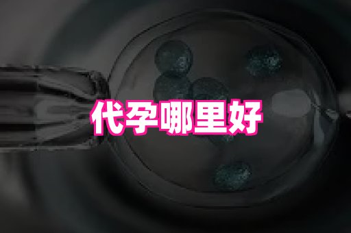 北京助孕网 4